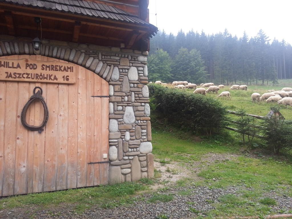 Wynajem Pokoi-Willa Pod Smrekami Zakopane Exterior photo